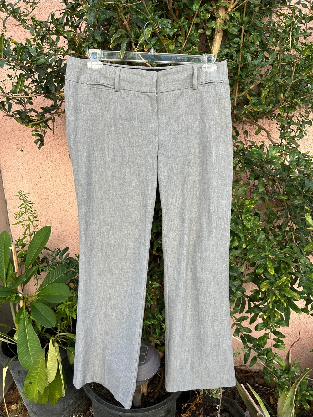 LOFT Light Gray Boot-Cut Dress Pants